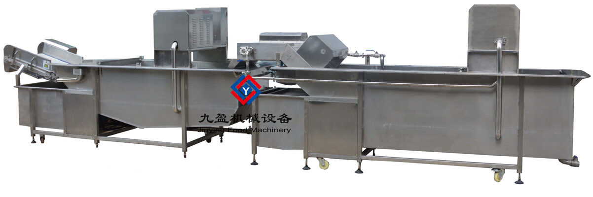 Continuous Vegetable Washing &Cleaning Production Line